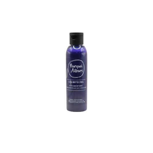 Shampoing Coloriste Déjaunisseur Prévenant – Reflets Froids & Éclat Équilibré – 150 g