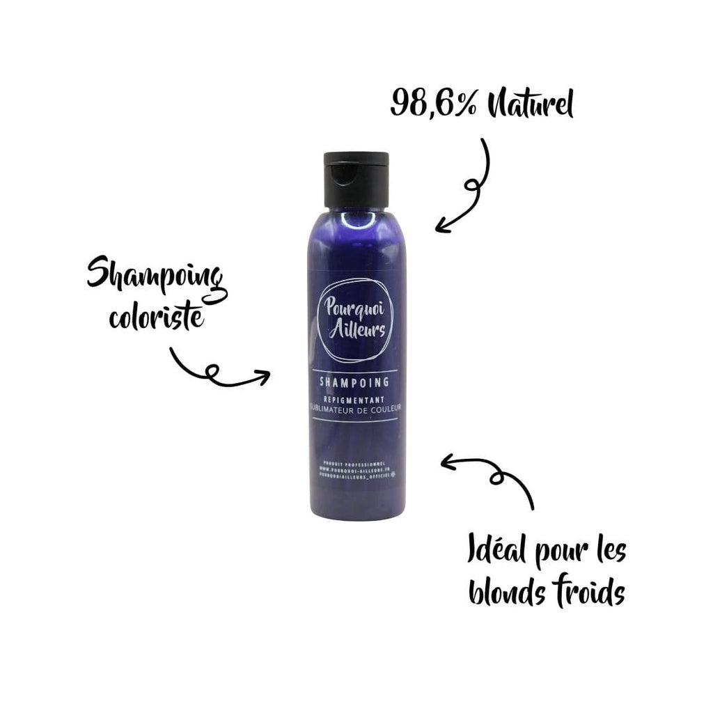 Shampoing Coloriste Déjaunisseur Prévenant – Reflets Froids & Éclat Équilibré – 200 ml